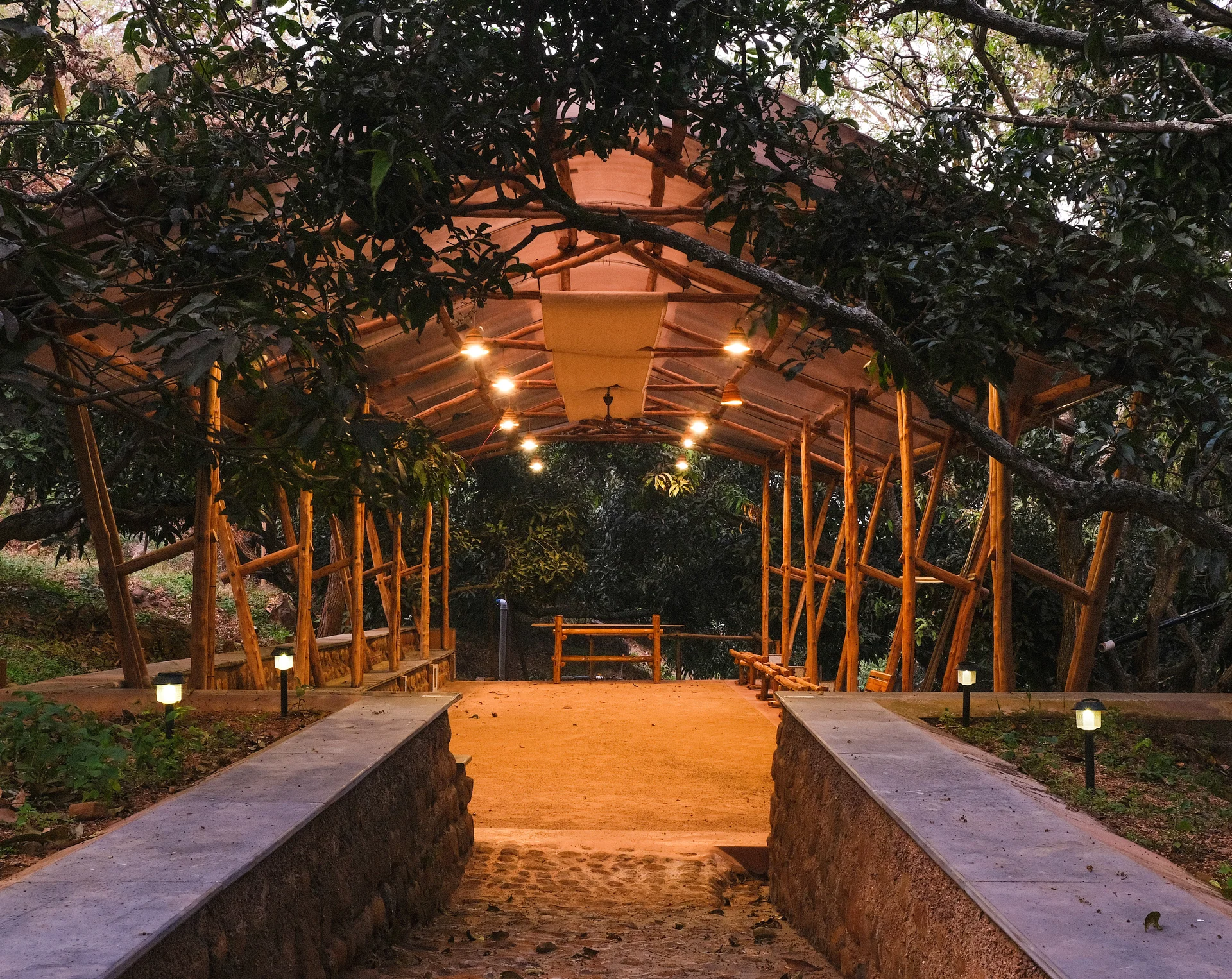 The illuminated path into Transcendence beneath trees at night.